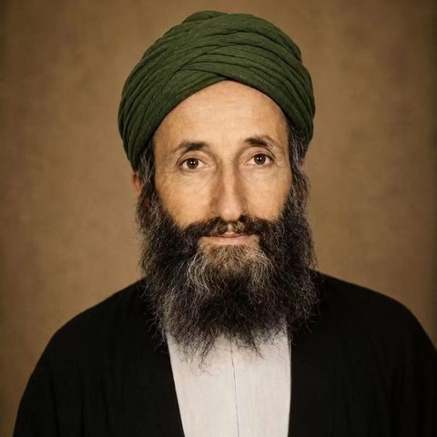 السيد محمد مهدي الرواس