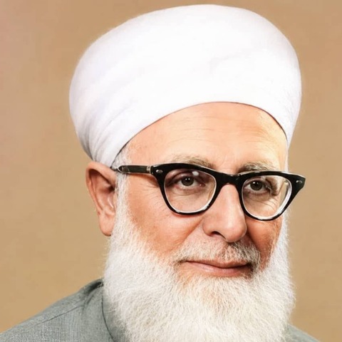 الشيخ حسن حبنكة الميداني