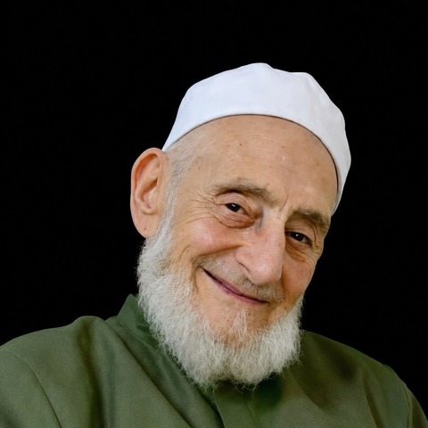 السيد شكري أفندي اللحفي